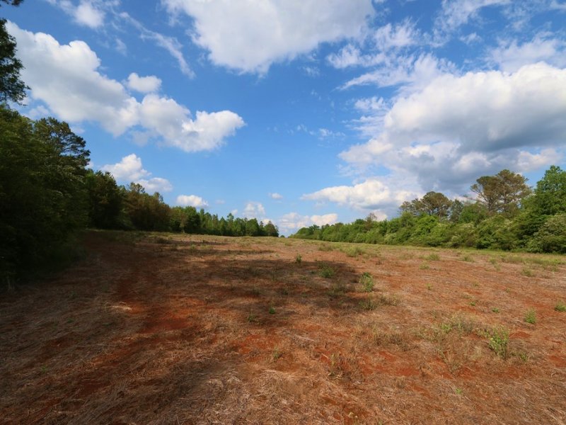 58+/- Acres Farm & Hunting Land : Sylacauga : Talladega County : Alabama