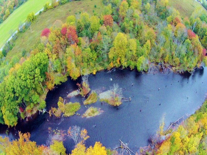 Salmon River 10 Ac 700' Riverbank, Farm for Sale by Owner in New York, 108711 FARMFLIP