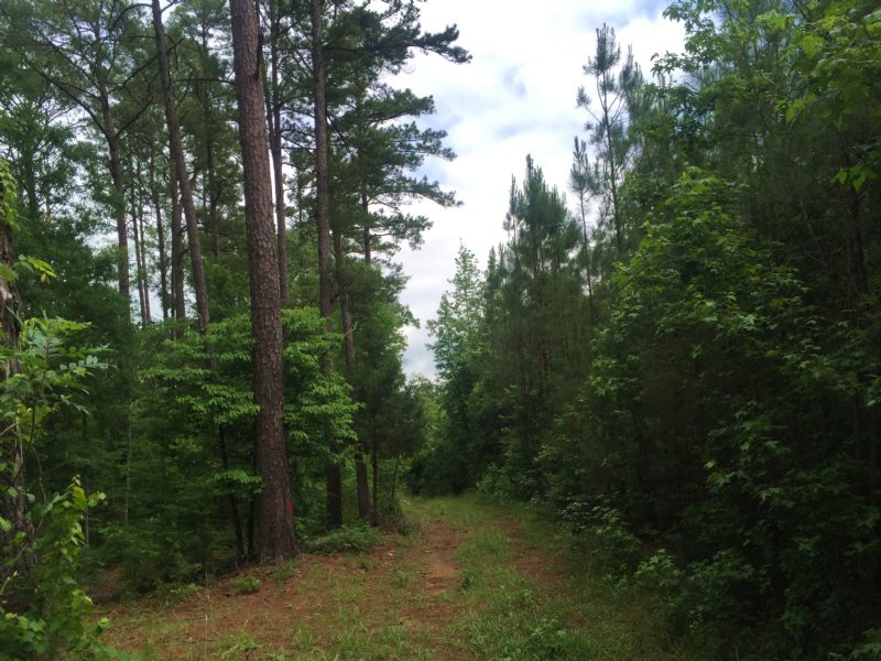 42+/ Acres With Pond In Edgefield Farm for Sale in Modoc, Edgefield