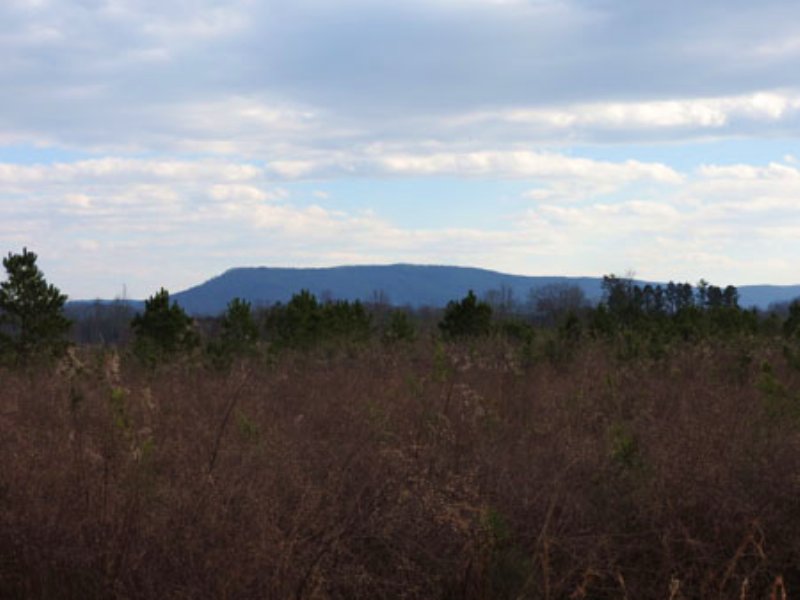 Villanow South 9721, Farm for Sale in 108779 FARMFLIP