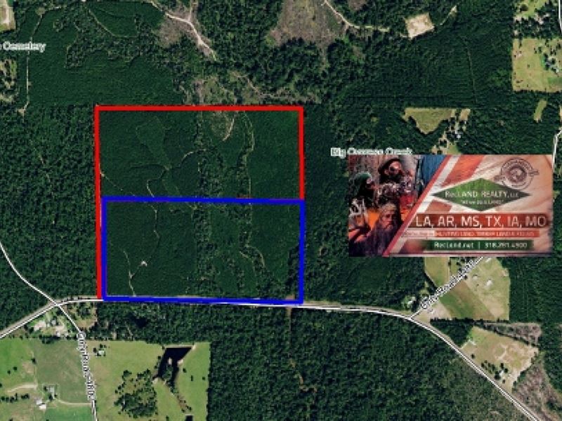 74 Ac, Managed Timberland with Hom : Warren : Tyler County : Texas