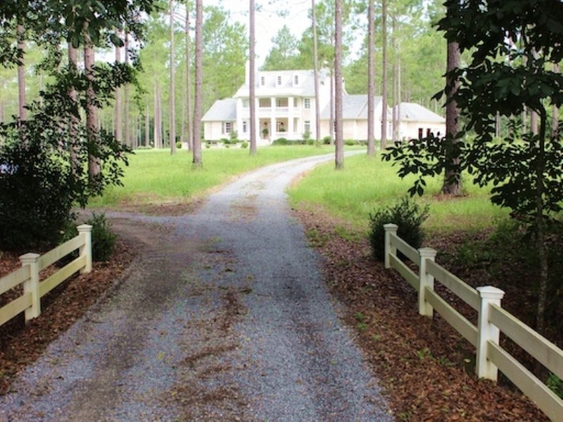 Terrepin : Quitman : Brooks County : Georgia
