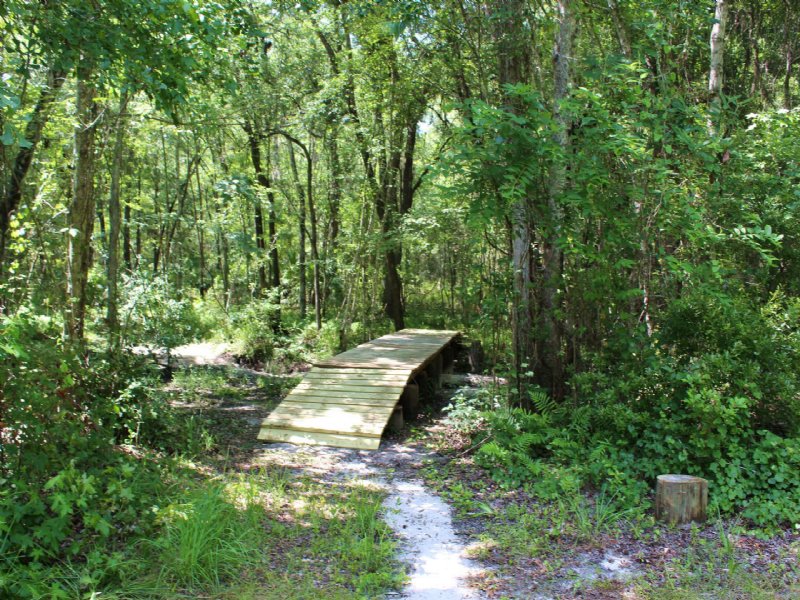 43.74 Ac for Hunting and Timber : La Crosse : Alachua County : Florida