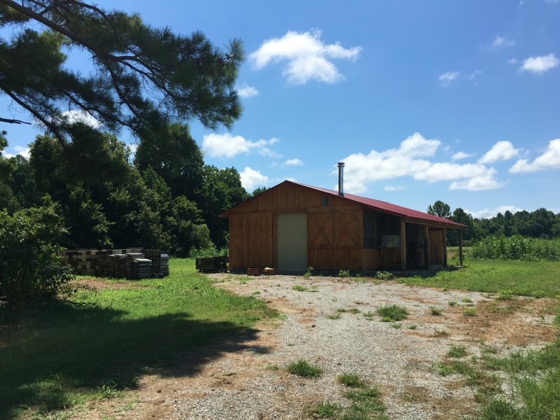 64.25 Acres +/ Hunting Property Farm for Sale in McDougal, Clay