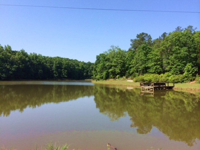 Beautiful 6 Acre Pond, Farm for Sale in 109409 FARMFLIP