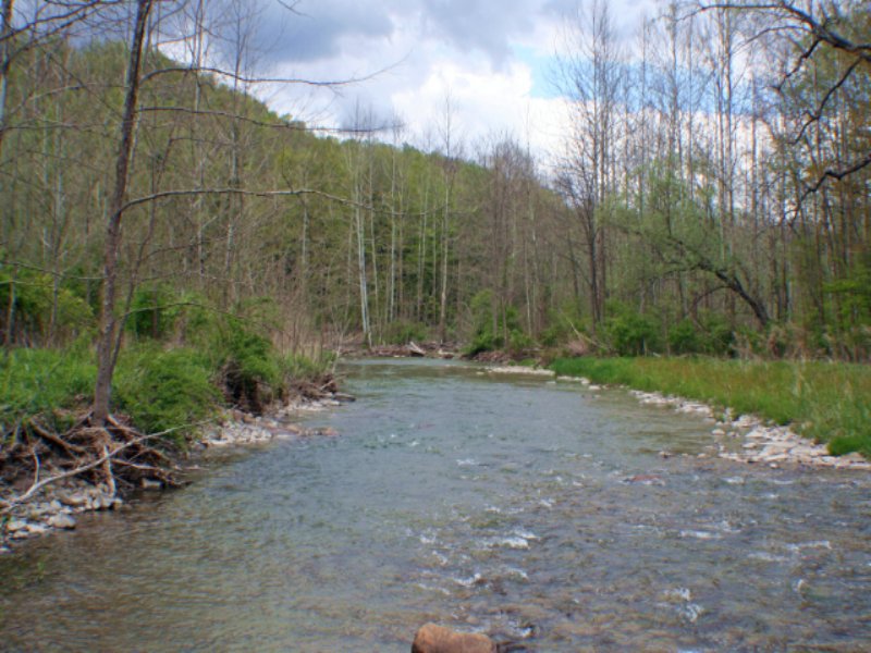 Waterfront Land On Canaseraga Creek, Farm for Sale in New York, 109585