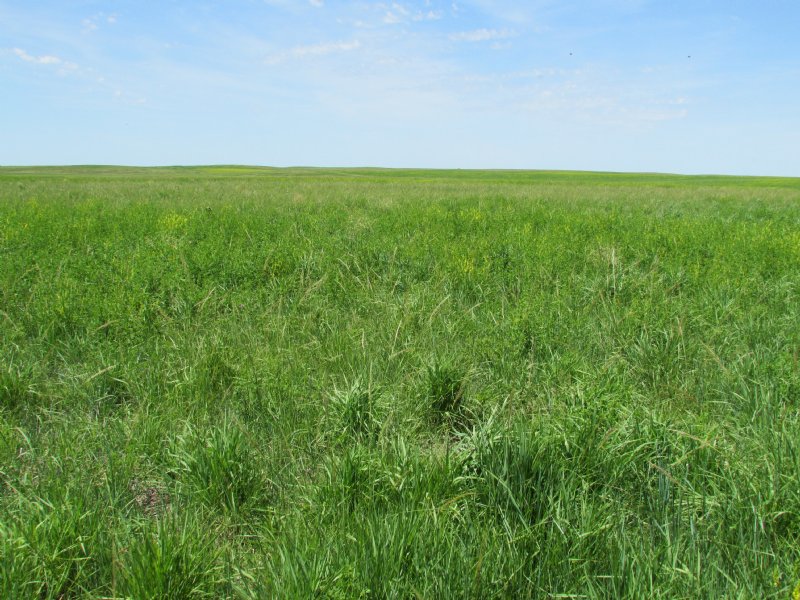 480+/ Acres, Farm for Sale in South Dakota, 109812 FARMFLIP