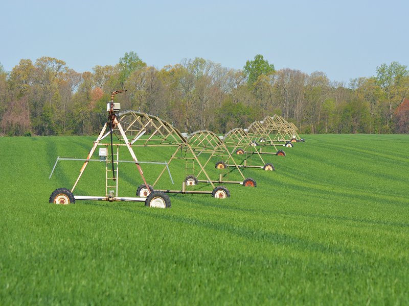 Farmland with Development Potential, Farm Auction in Delaware, 110112