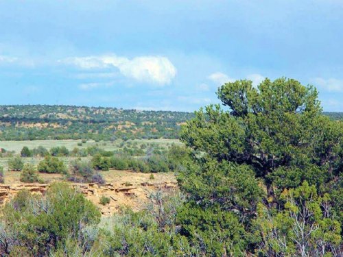 Secluded Northern AZ Ranch, $355/Mo : Saint Johns : Apache County : Arizona