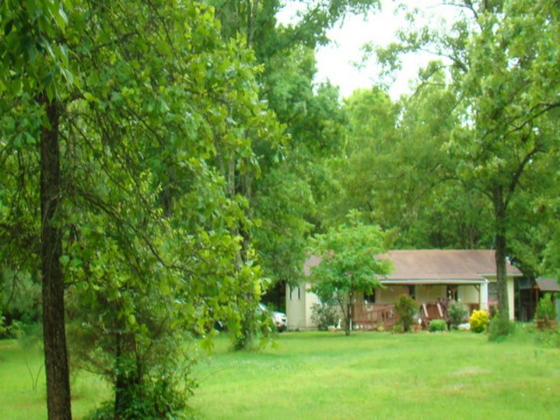 46 Acres in Private Setting : Birch Tree : Shannon County : Missouri