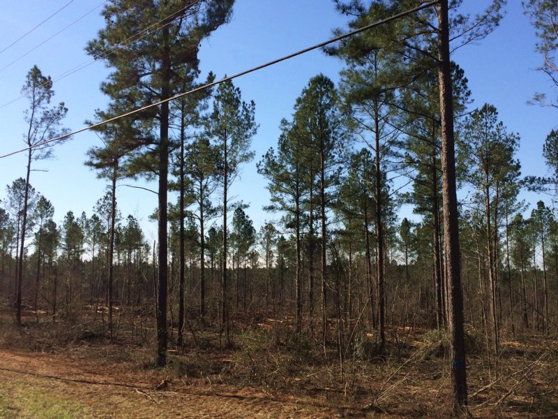 Rockville Road West Tract : Eatonton : Putnam County : Georgia