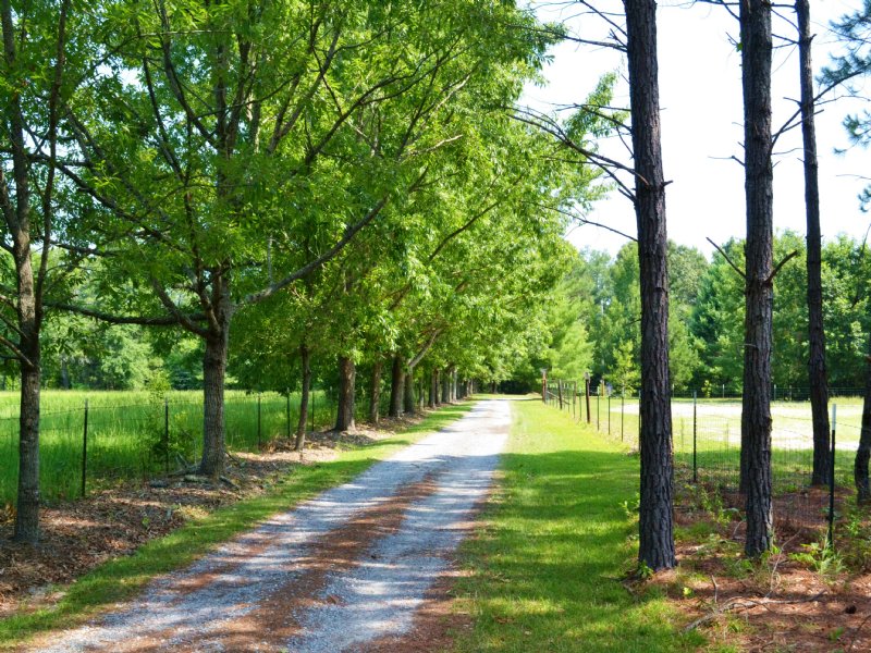 Segrest Minifarm, Farm for Sale in Alabama, 110636 FARMFLIP