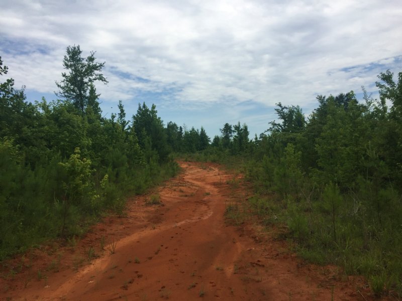 Stallworth Tract : Fort Deposit : Lowndes County : Alabama