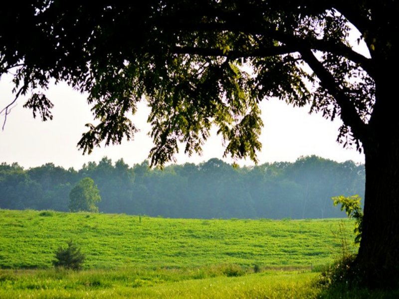 Fabulous Retreat Property : Scottsville : Fluvanna County : Virginia
