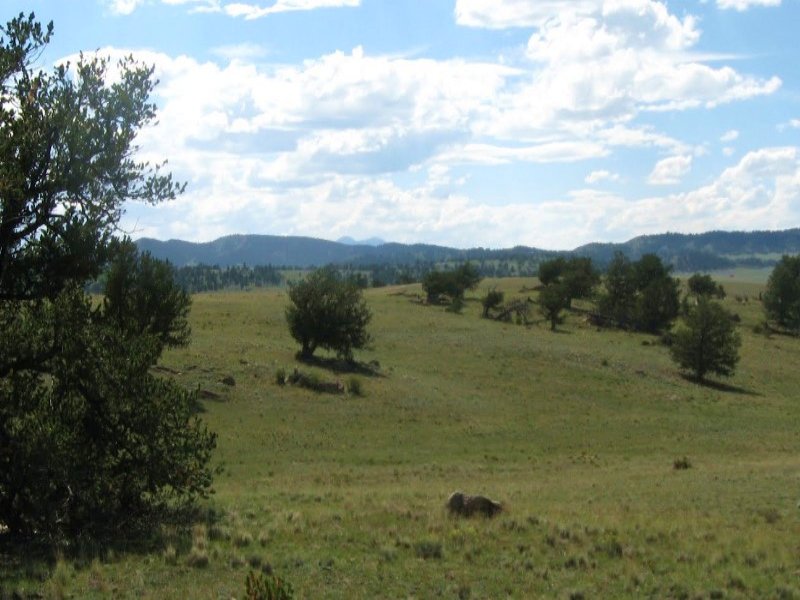5.03 Acres in South Park Ranches : Hartsel : Park County : Colorado