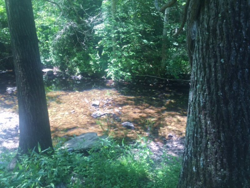 122.2 Hunting Property with Streams : Gruetli-Laager : Grundy County : Tennessee