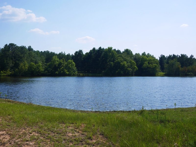 Pineland Waters : Millen : Jenkins County : Georgia