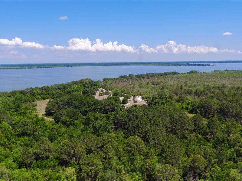 Lake Griffin Preserve, Farm for Sale in Florida, 111411 FARMFLIP