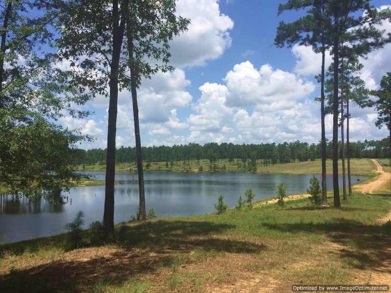 131± Ac On 30± Ac Stocked Lake : Brookhaven : Lincoln County : Mississippi