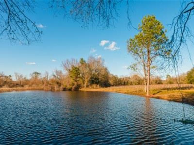 Clito Pond : Statesboro : Bulloch County : Georgia