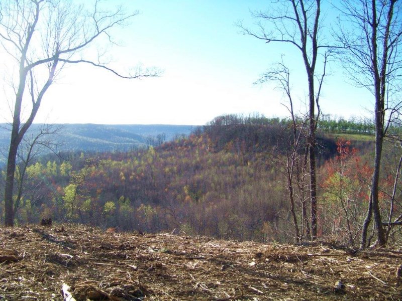 52.54+/- Acres Panoramic Views : South Pittsburg : Marion County : Tennessee
