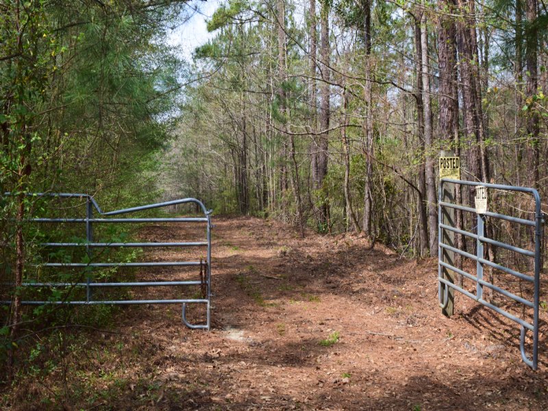 402 Ac Ocmulgee River Basin Farm for Sale in Jeffersonville, Twiggs