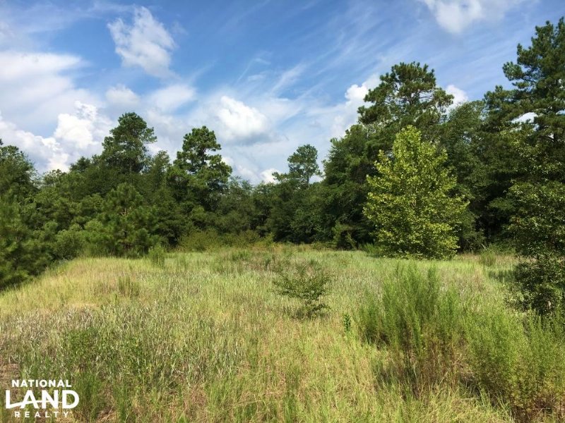Gresham Hunting Property : Gresham : Marion County : South Carolina