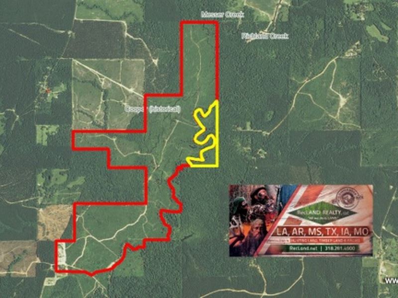 510 Ac - Hunting Tract Along Castor : Grayson : Caldwell Parish : Louisiana
