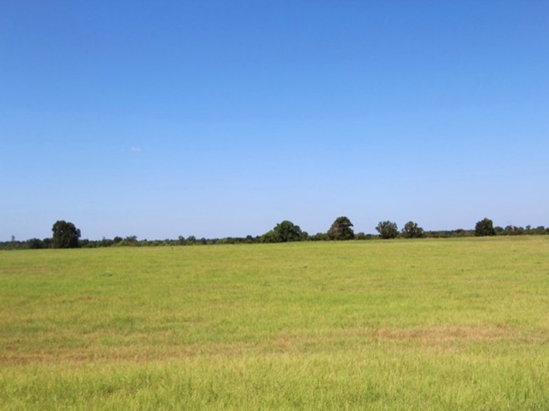 Exceptional Ranch for Sale : Bagwell : Red River County : Texas