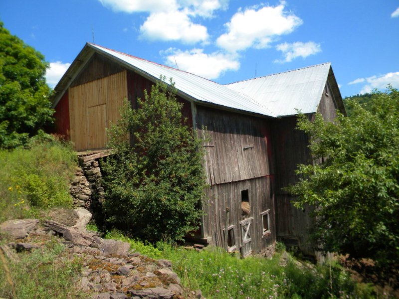 50 Acres With Barn In Bovina, Ny Farm for Sale in Bovina Center