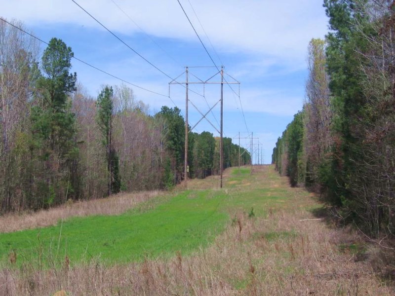 12± Acres : Pickens : Madison County : Mississippi
