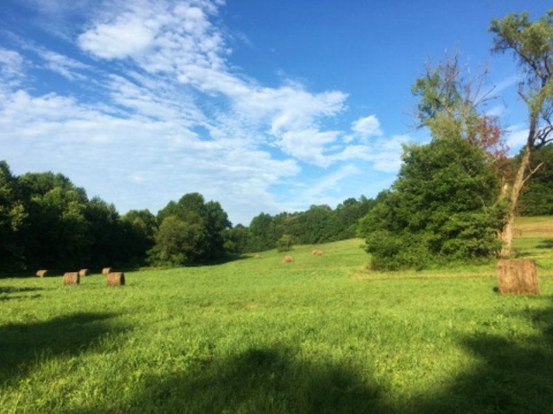 39.14 Acres Farm for Sale in Magnolia, Hart County, Kentucky