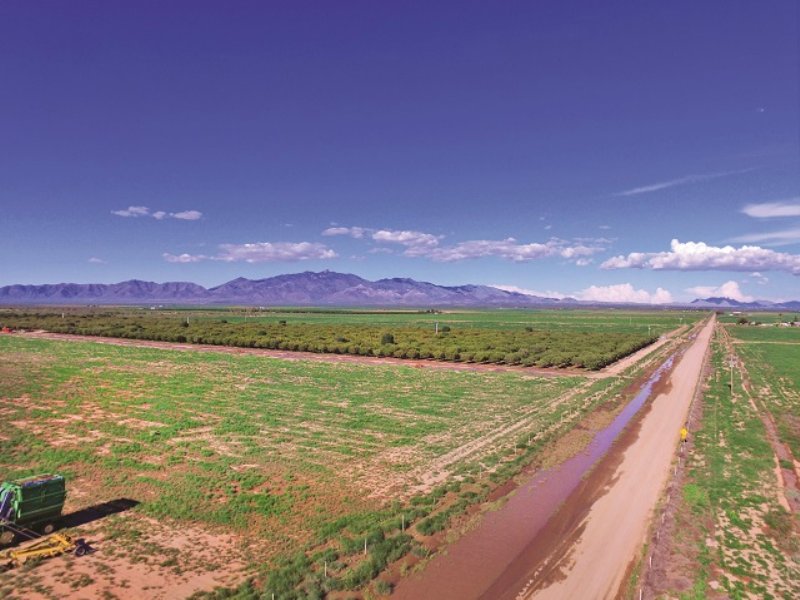 Multiparcel Land Auction Farm Auction in Willcox, Cochise County