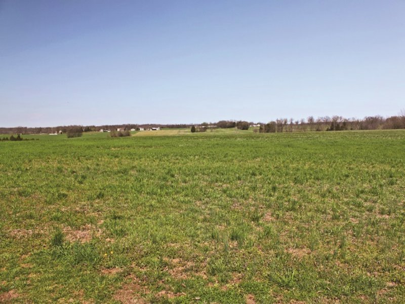 Secluded Country Home & Acreage, Farm Auction in Kentucky, 113144