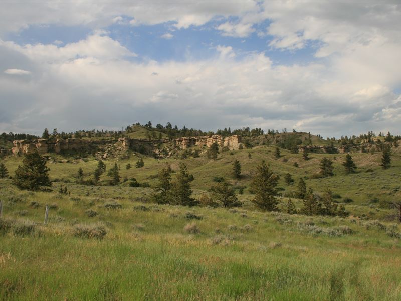 240 Acres with Owner Financing : Park City : Stillwater County : Montana