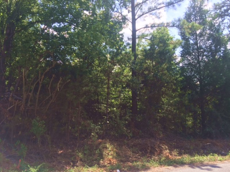 5 +/- Wooded Acres, Tract 2 : Cartersville : Bartow County : Georgia