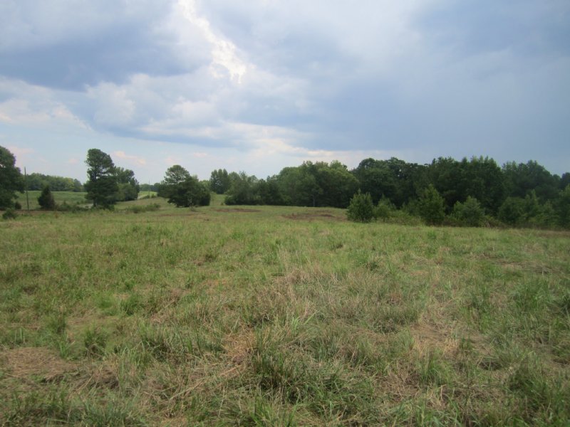 40 Acres Of Pasture Land, Farm for Sale in Alabama, 113257 FARMFLIP
