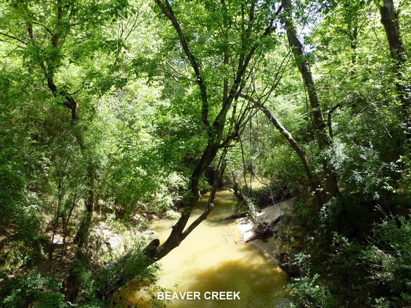 66-72B Beaver Creek Tract : Pine Hill : Wilcox County : Alabama