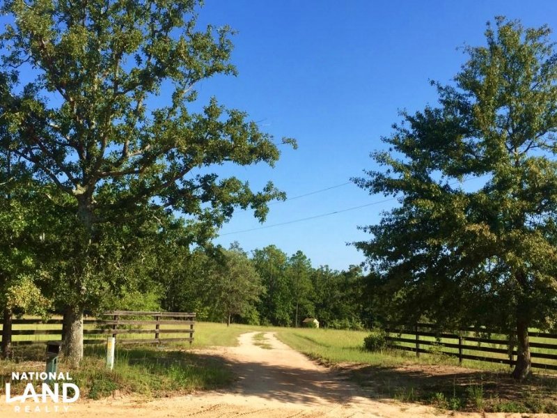 Farmland With Brick Home Farm for Sale in Mauk, Marion County