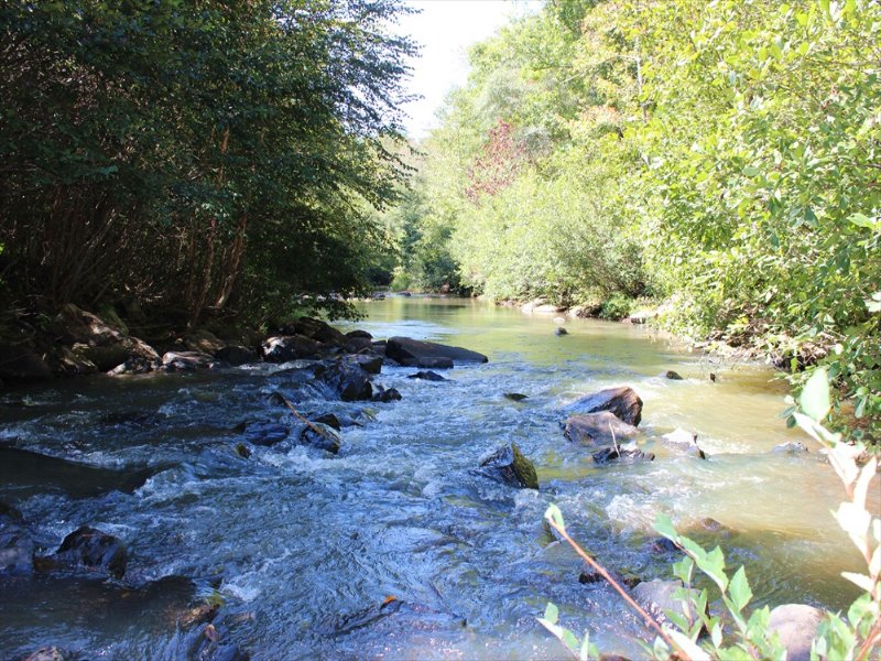 Big Water and History : Thomaston : Upson County : Georgia