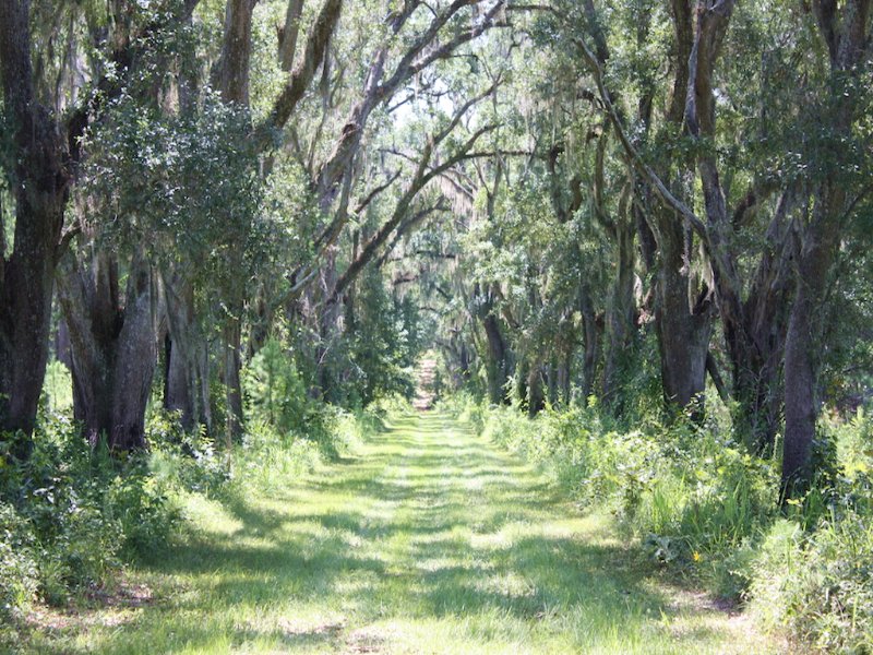 El Destino Plantation, Farm for Sale in Florida, 113516 FARMFLIP