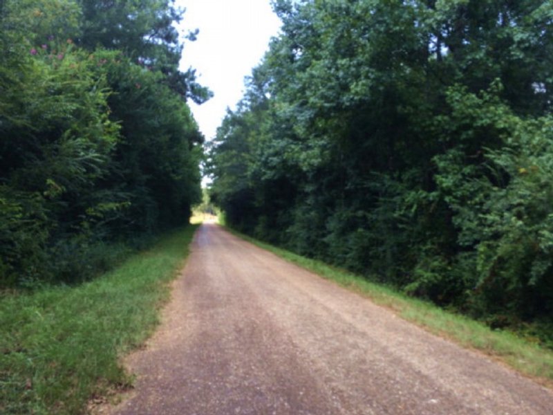 Land For Sale Pike County Ms Farm for Sale in Magnolia, Pike County