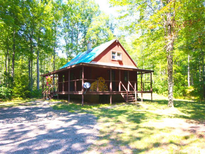 11+/- Acres Woodland Home Or Cabin : Benton : Lycoming County : Pennsylvania