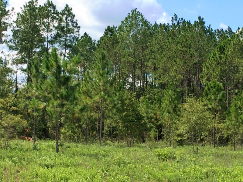 Rufus Road, Farm for Sale in 114086 FARMFLIP