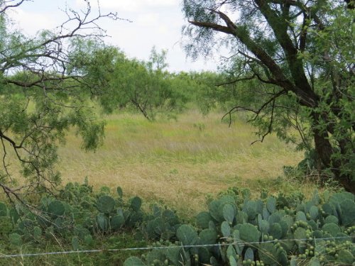 Mustang 22 With Electricity : Eden : Concho County : Texas