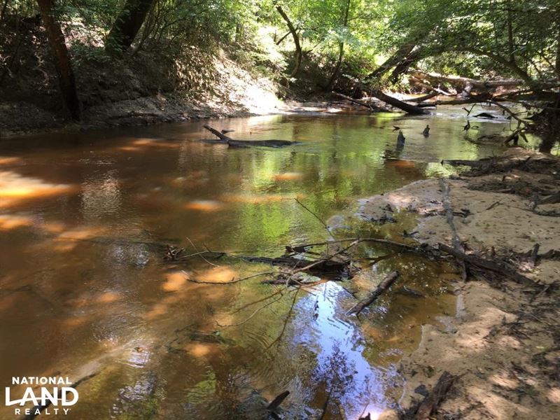 The Buckatunna Creek Quitman Tract : Quitman : Clarke County : Mississippi