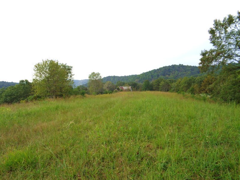 Hobby Farm Or Hunting Property : Gandeeville : Roane County : West Virginia