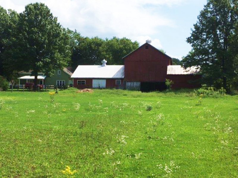 124 Acre Farm Tillable Land in Rome, Farm for Sale in New York, 114277