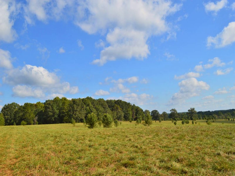 Reduced 45 Acre Farm : Gaffney : Cherokee County : South Carolina