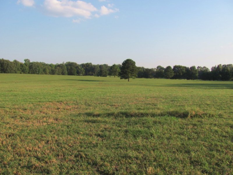 100 +/- Acres, Fenced, Cross Fenced : Gleason : Weakley County : Tennessee